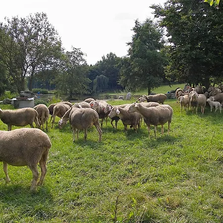 Falter 3* Hof (Bavaria)
